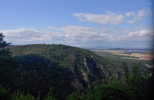 Harzvorland-Auszeit für Zwei & 1 Hund & Natur inklusive - Foto 21