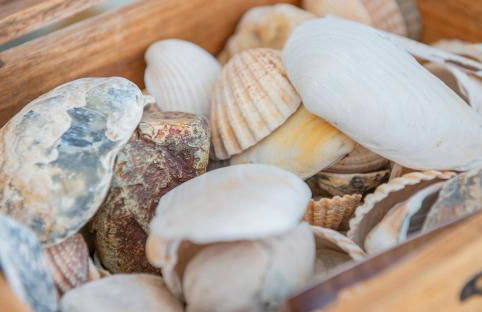 Sound of the Sea, beach front Bungalow with hot tub, in Tywyn - Foto 62