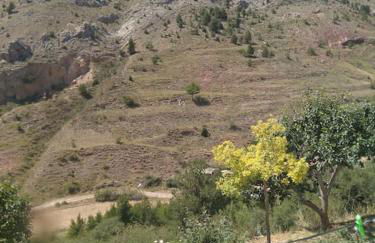 Casa Concha - Foto 28