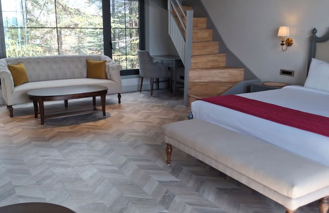 Rosastays Aarnalaya Shimla - Foto 12