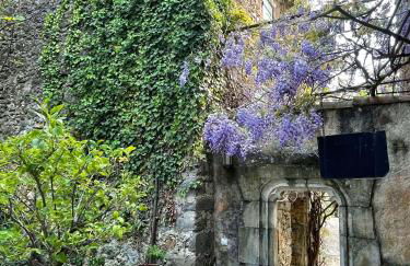 Mas Suéjol - Foto 39