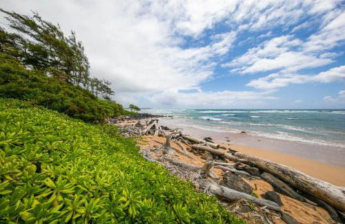 Kauai Kaha Lani 123 by Coldwell Banker Island Vacations - Foto 40