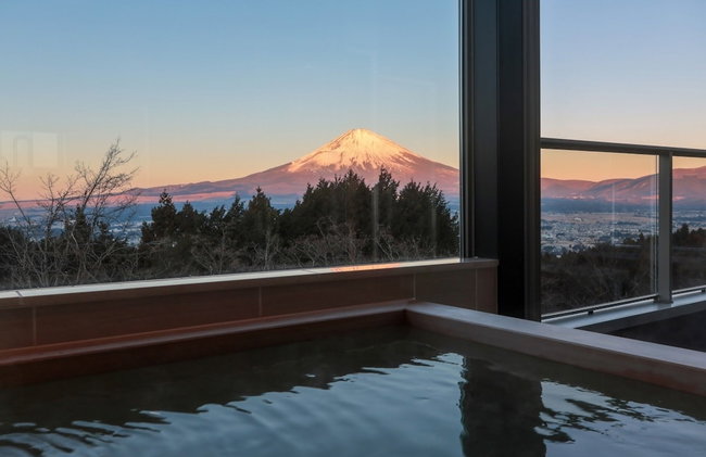 Well Resort Fuji - Photo 28