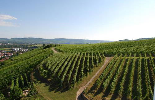 "Unter der Yburg" in 71394 Kernen - Stetten - Foto 17