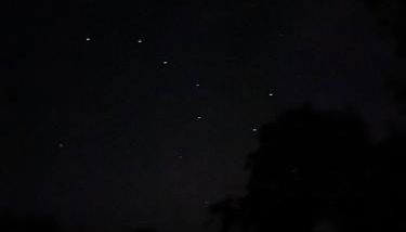 Little Dolwen - Sioned - Photo 5