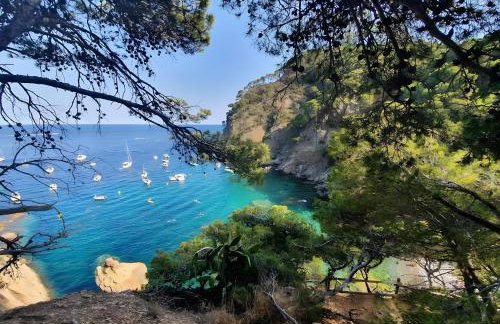 La Terrasse De La Mer 6-Résidence - Foto 39