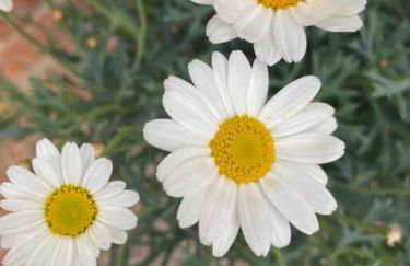 The Hideaway at Peacock Farm - Photo 27