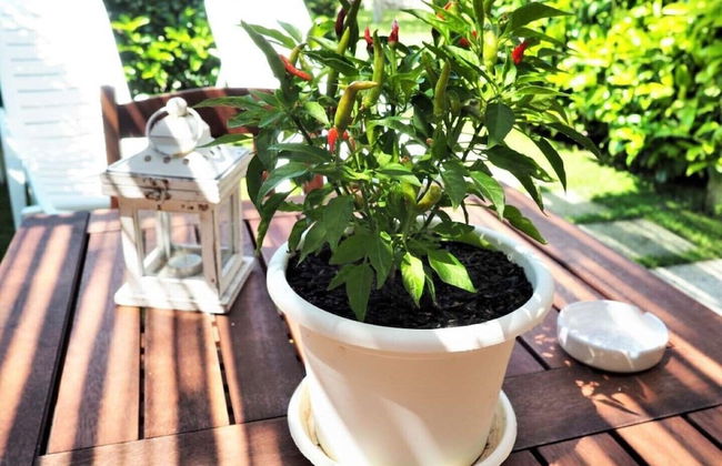 Masseria Costarella - Photo 65