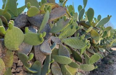 Casa Matilde a pochi passi dal mare - Foto 39