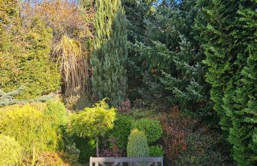 Ferienhaus Lipowa - Foto 18