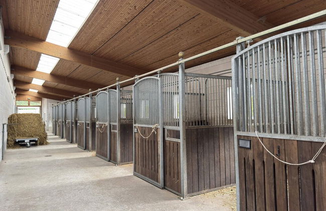 Blockhauser auf Reiterhof in Eschede - Foto 63