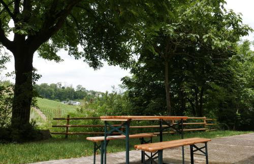 Cascina Tornara, ritorno alle origini monferrine - Foto 46