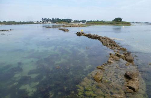 Maison de pays - Foto 3