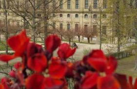 Ferienwohnung Weinbergsblick optimale Stadtnähe - Foto 46