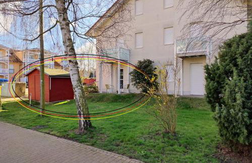 Ostsee-Fynn - Foto 4