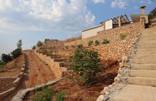 Robinson My dream - Foto 17