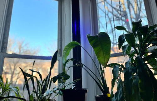 Unique Brooklyn Brownstone Studio Bedstuy - Foto 7