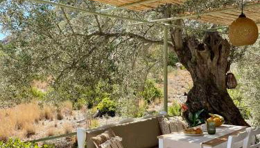 Metohi Luxury Home - Foto 1, Garden, Garden view