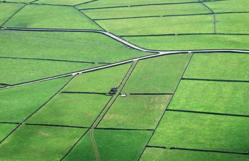 Vivenda Areias - Photo 50