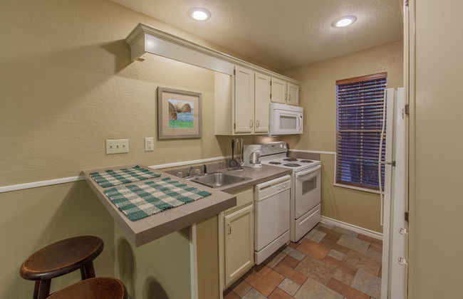 Holiday Inn Club Vacations Villages Resort at Lake Palestine by IHG - Photo 35