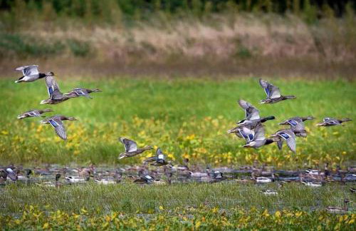Gorgeous Tiny House with Indoor and Outdoor Lounging Space in Alabama - Foto 68