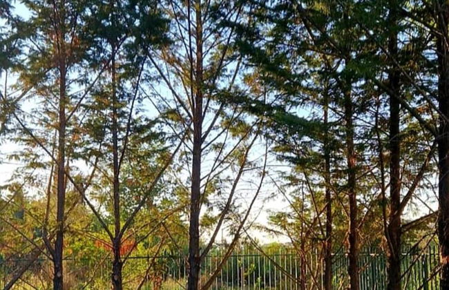 Amazing Home in Campania - Foto 25