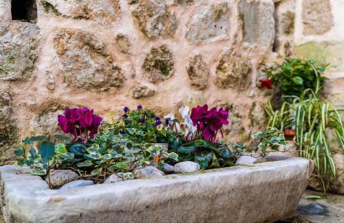 Apartments Sara - Photo 34