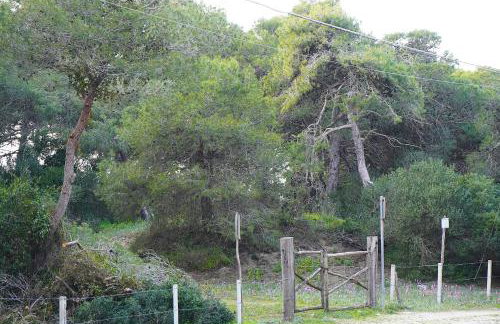 Villa Ofelia - Casa Vacanze in Puglia - Photo 34