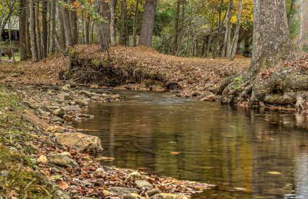 Meadow Creek Retreat - Foto 57