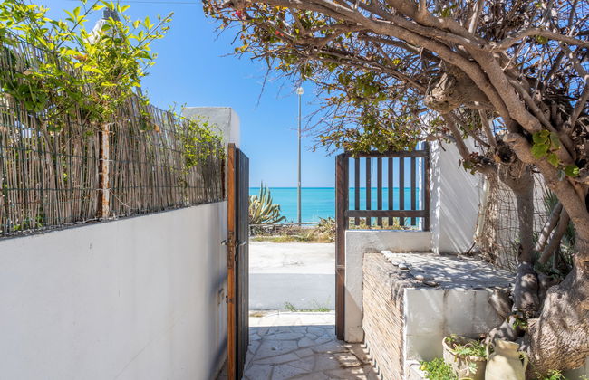 Seccagrande - Foto 21