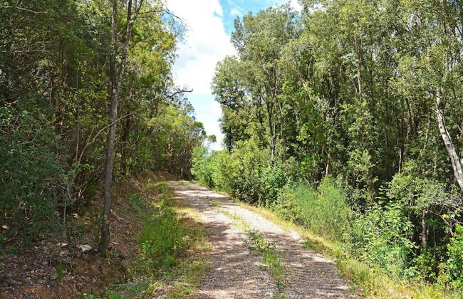 Le Moraiole Country House - Foto 38