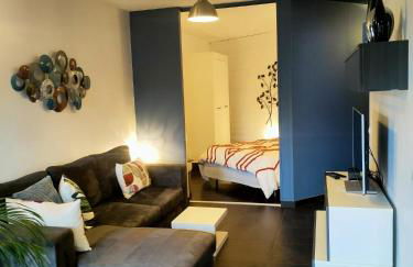 Tu Casa parking fibre optique Netflix - Foto 7