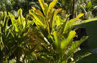 Casa O Segredo da Alma - Photo 26