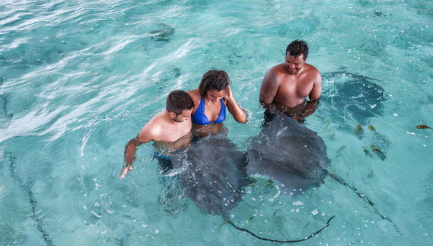 Snorkeling con le razze