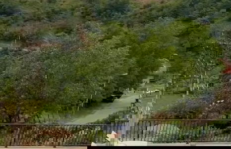 GreenWood Merisi - Foto 27