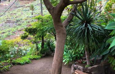 Casa Gomeron - Foto 39