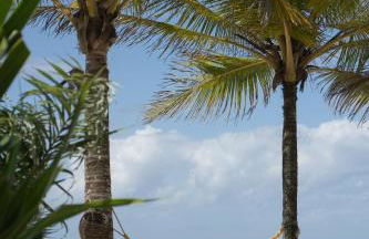 Espaço Tempo Vivências e Estadias - Photo 8