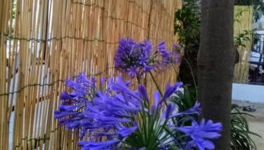 La casa di Anna - Foto 2