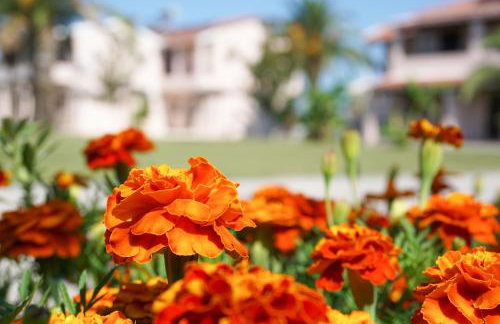 Elizabeth Roda - Foto 14