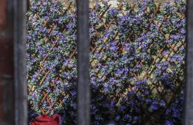 Loveview - A Painswick Stone Haven - Foto 57