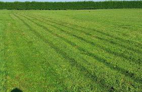 Apartamentos lagunas - Foto 46