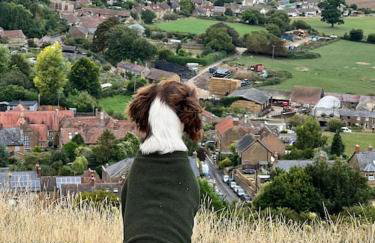 Spaniel Cottage with views of Ham hill, Stoke sub Hamdon - Photo 10