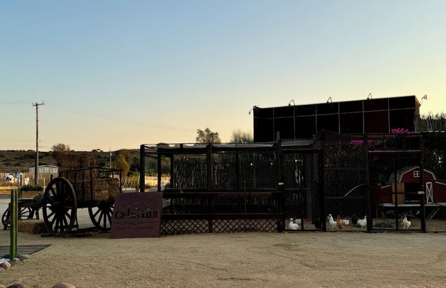 Estancia Cataviña Valle de Guadalupe - Foto 26