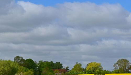 Ferienwohnung im Gutshaus Schulenbrook - Foto 3