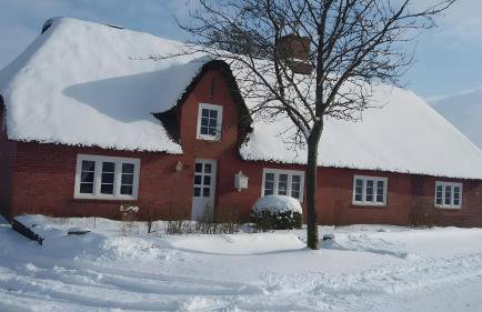 Ferienwohnung Unter Reet - Foto 6