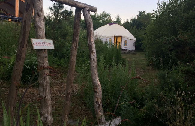 Inch Hideaway Eco Glamping - Foto 17