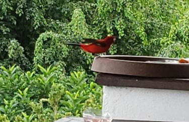 Casa Angra Itanema - Foto 13