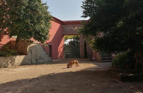 Quinta do Santinho - Foto 14