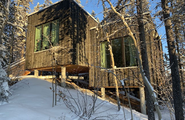 Yukon Black Spruce - Foto 12