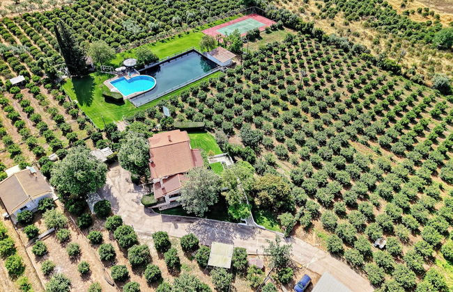 Orange Grove Villa - Foto 62
